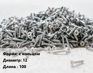 Шуруп с кольцом с кольцом 12х100